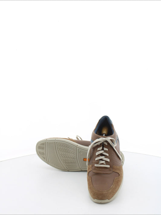 bc95582822e9ddd4a639f9216c118157