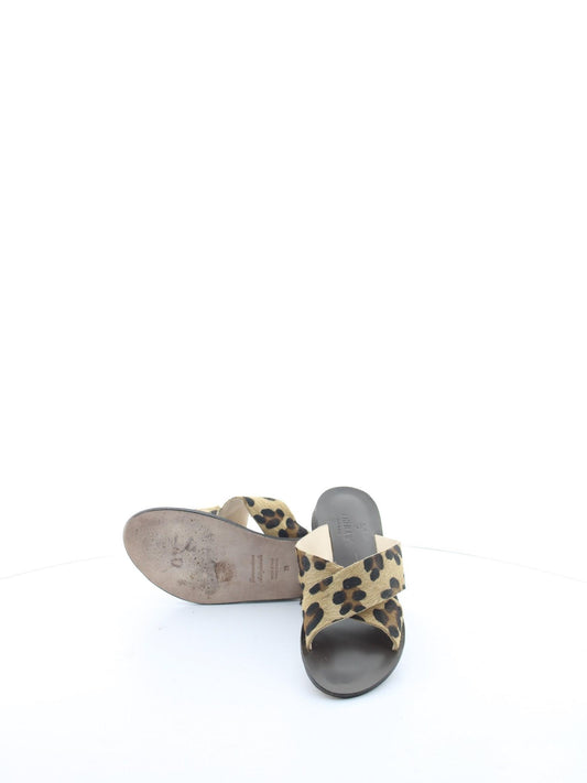 daa9361fd45d0b9e809a78cc25949d06