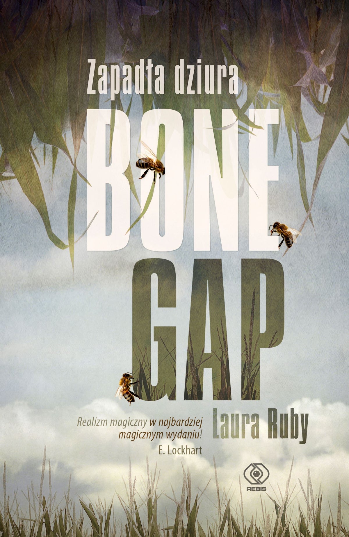 Zapadła dziura Bone Gap - Maria Smulewska, Malgorzata Chwalek, Laura Ruby