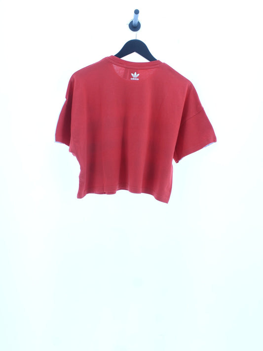 e3071bf5a39bcbee9fe84085cc0fcb44