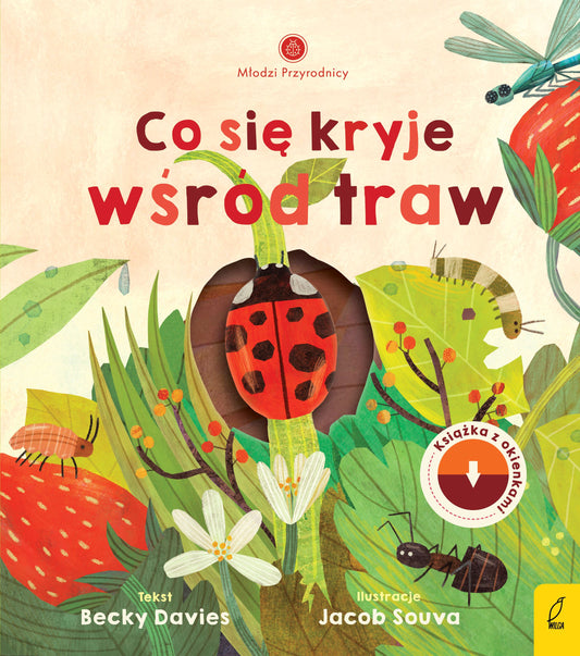 Młodzi przyrodnicy. Co się kryje wśród traw - Patrycja Zarawska, Becky Davies