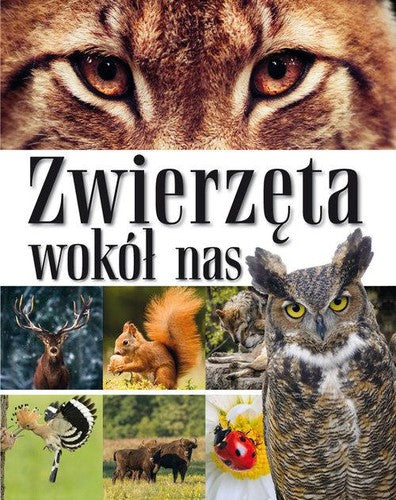 Zwierzęta wokół nas - Autor zbiorowy