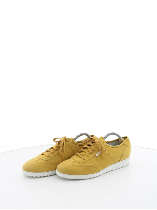 8c0c39f13296a103189716e969a68e81