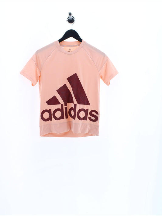 35dd8ed5bd6539fa01c1d31943db5e13