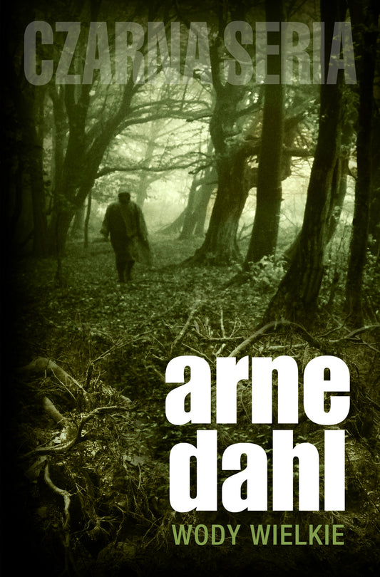 Wody wielkie - Robert Kedzierski, Arne Dahl