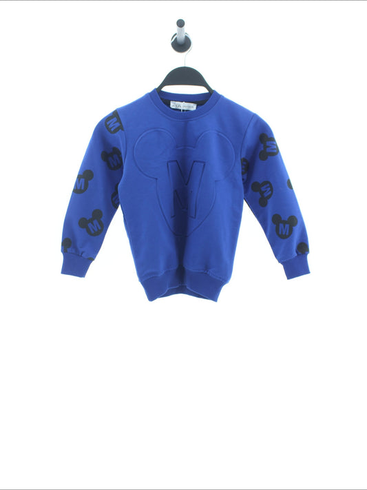 Bluza Zara Rozmiar: 116