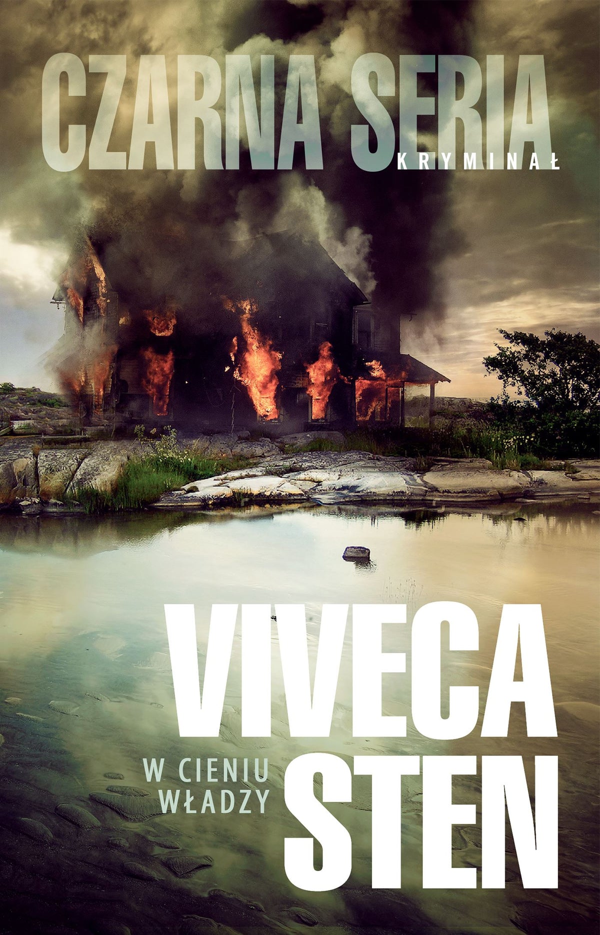 W cieniu władzy - Wojciech Lygas, Viveca Sten