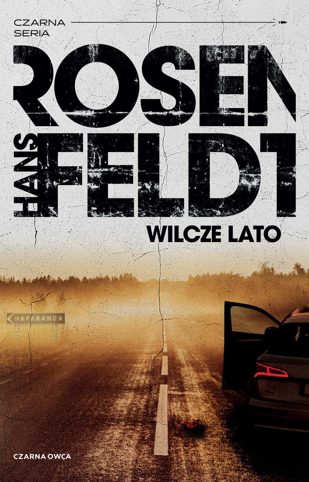 Wilcze lato - Hans Rosenfeldt, Iwona Jedrzejewska