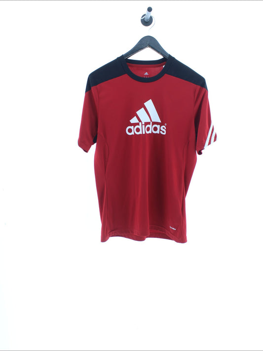 0e2edebb6fa6e2ff1b7a9a44c66d378f