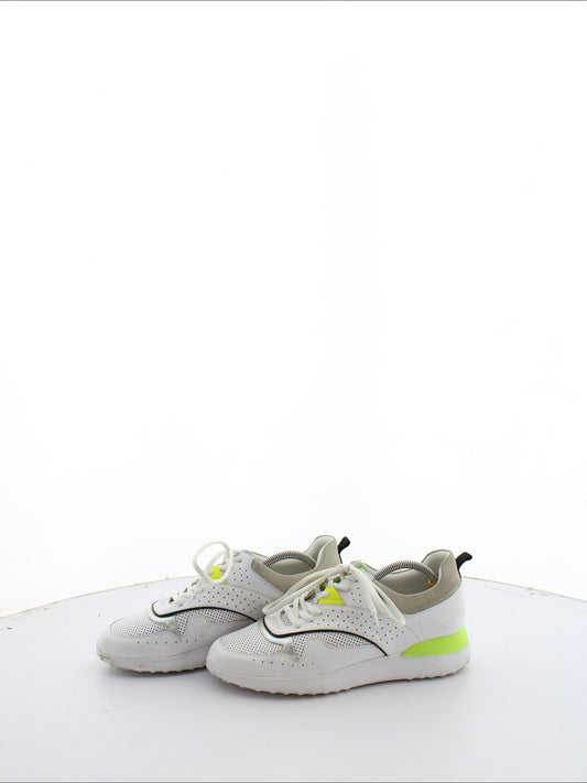 8d74a19f11ea713c919bcc42f94345fe