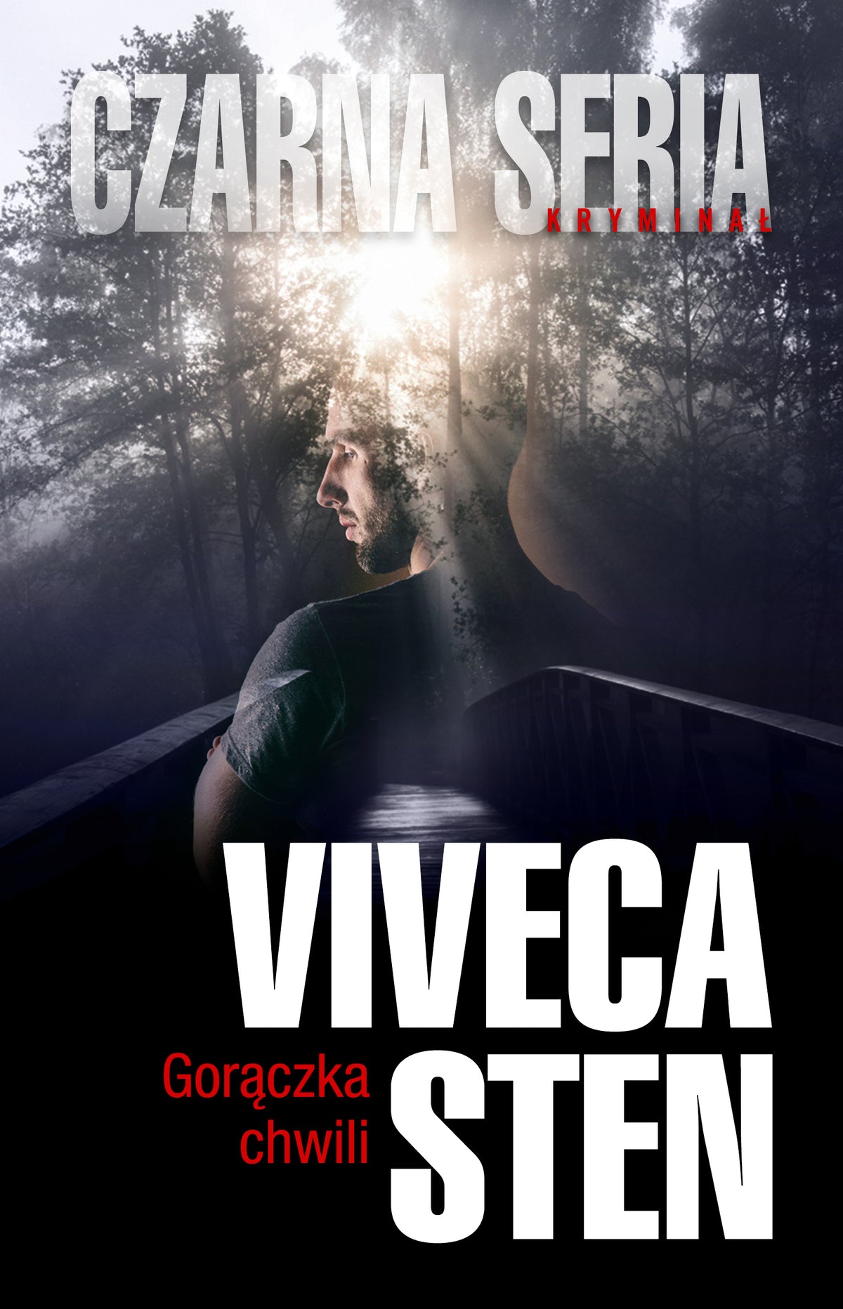 Gorączka chwili - Anna Krochmal, Viveca Sten