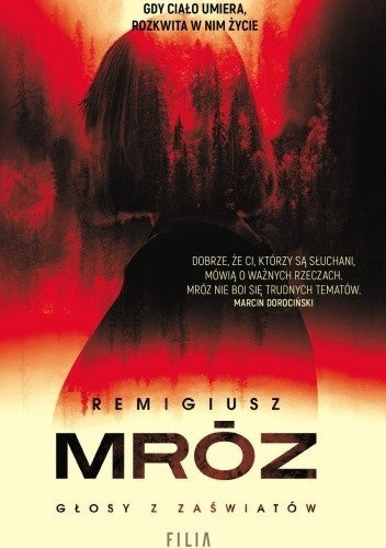 Głosy z zaświatów - Remigiusz Mroz