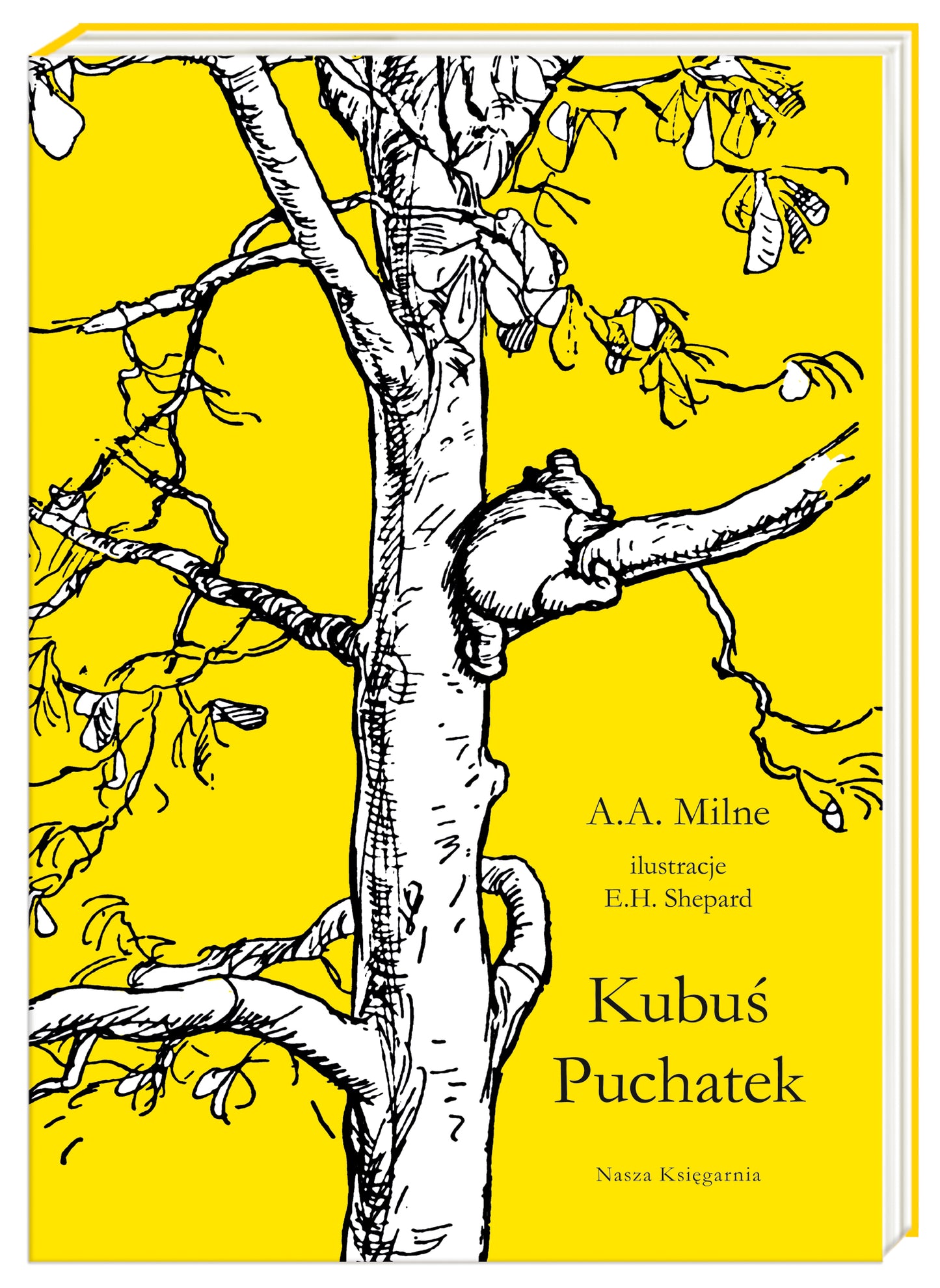 Kubuś Puchatek - Ernest H. Shepard, Irena Tuwim, Alan Alexander Milne
