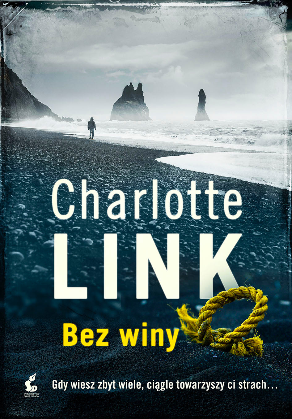Bez winy - Charlotte Link, Dariusz Guzik