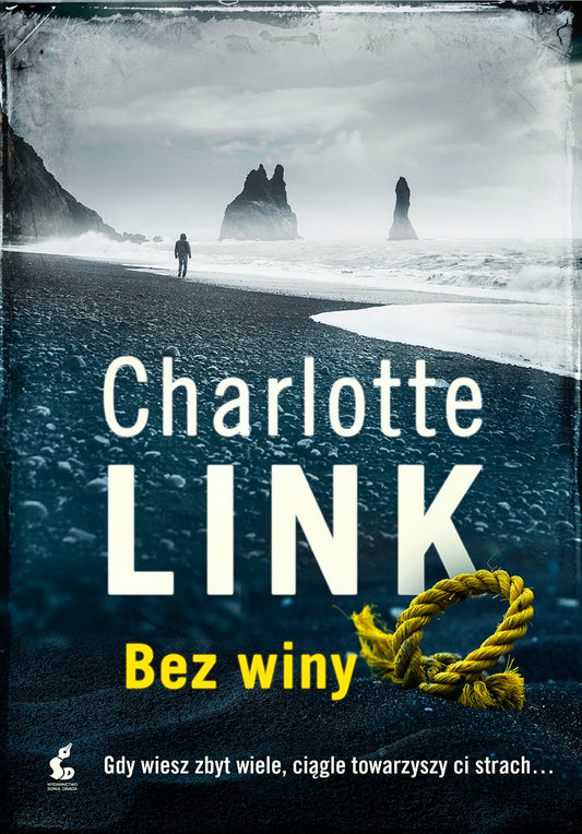 Bez winy - Charlotte Link, Dariusz Guzik