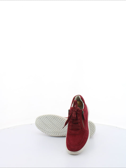 241c9705326c0b4e16f3f5405658cd48