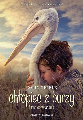 Chłopiec z burzy i inne opowiadania - Danuta Gorska, Janusz Ochab, Robert Walis, Wydawnictwo Albatros, Colin Thiele