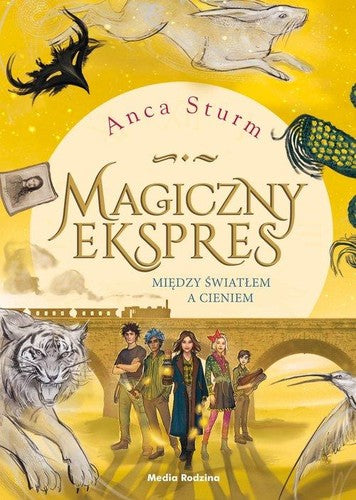 Między światłem a cieniem - Anca Sturm