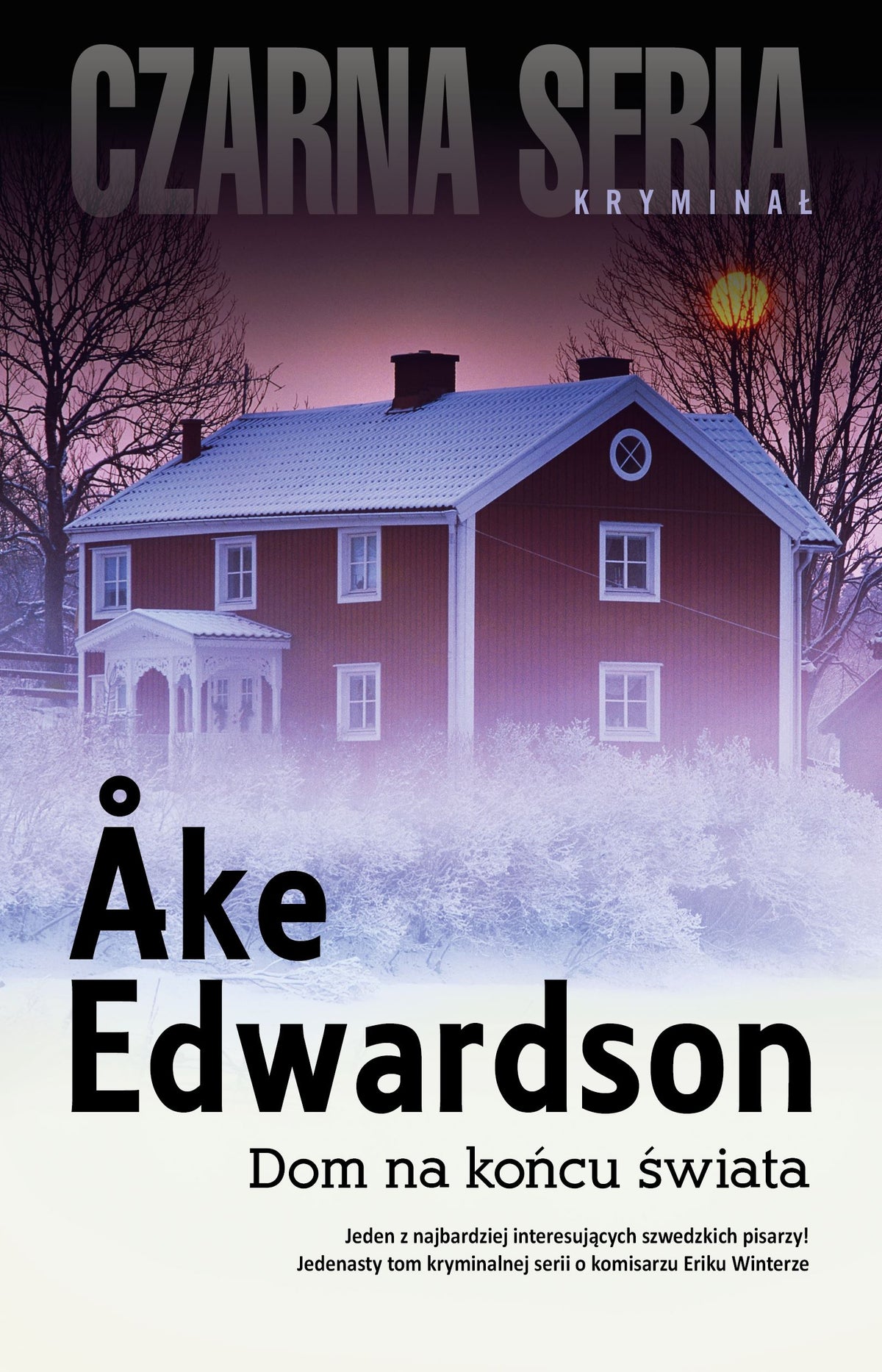 Erik Winter - Ake Edwardson