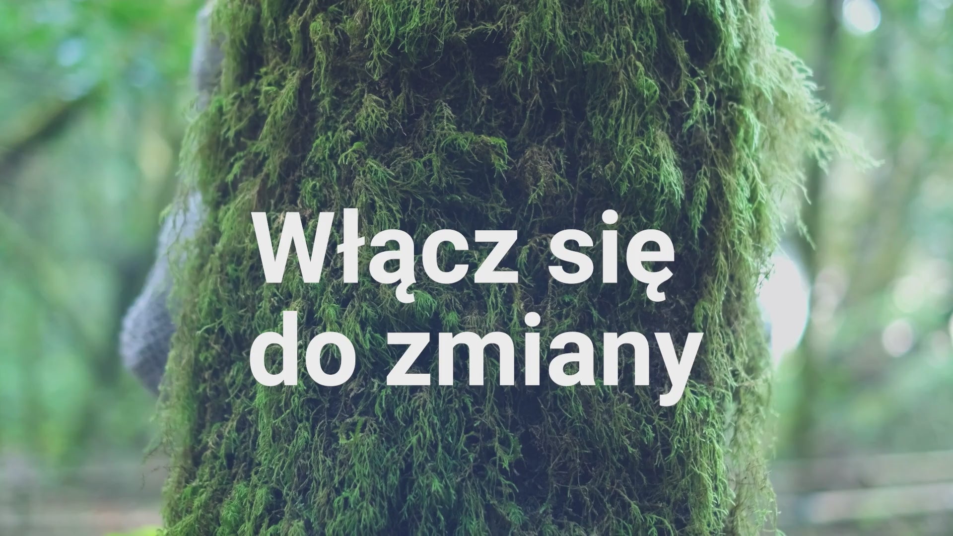 Załaduj film: 